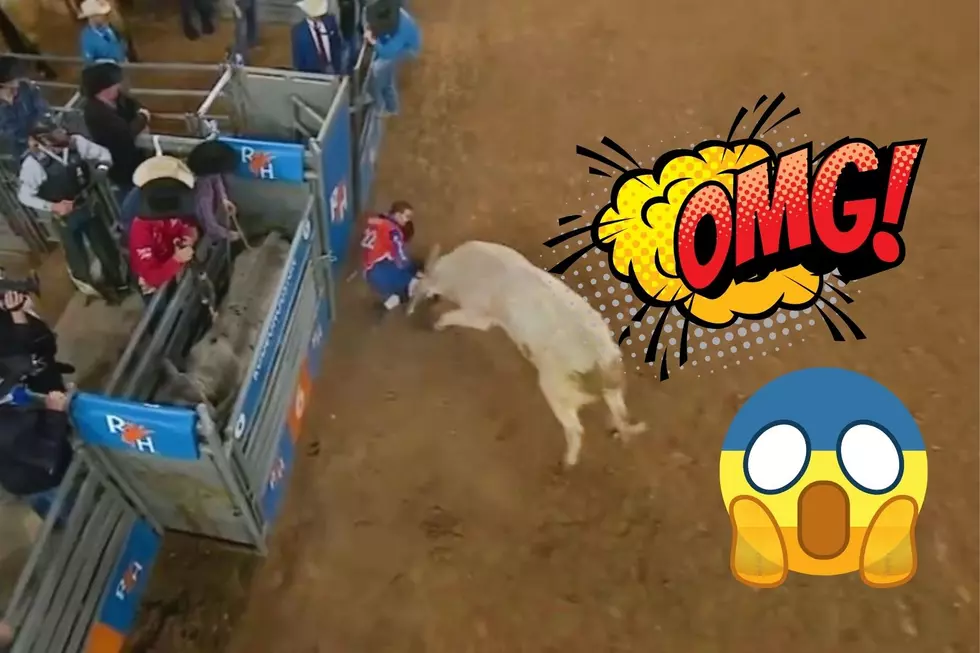 SCARY! Shocking Video Shows Angry Bull Slam Texas Man into Wall